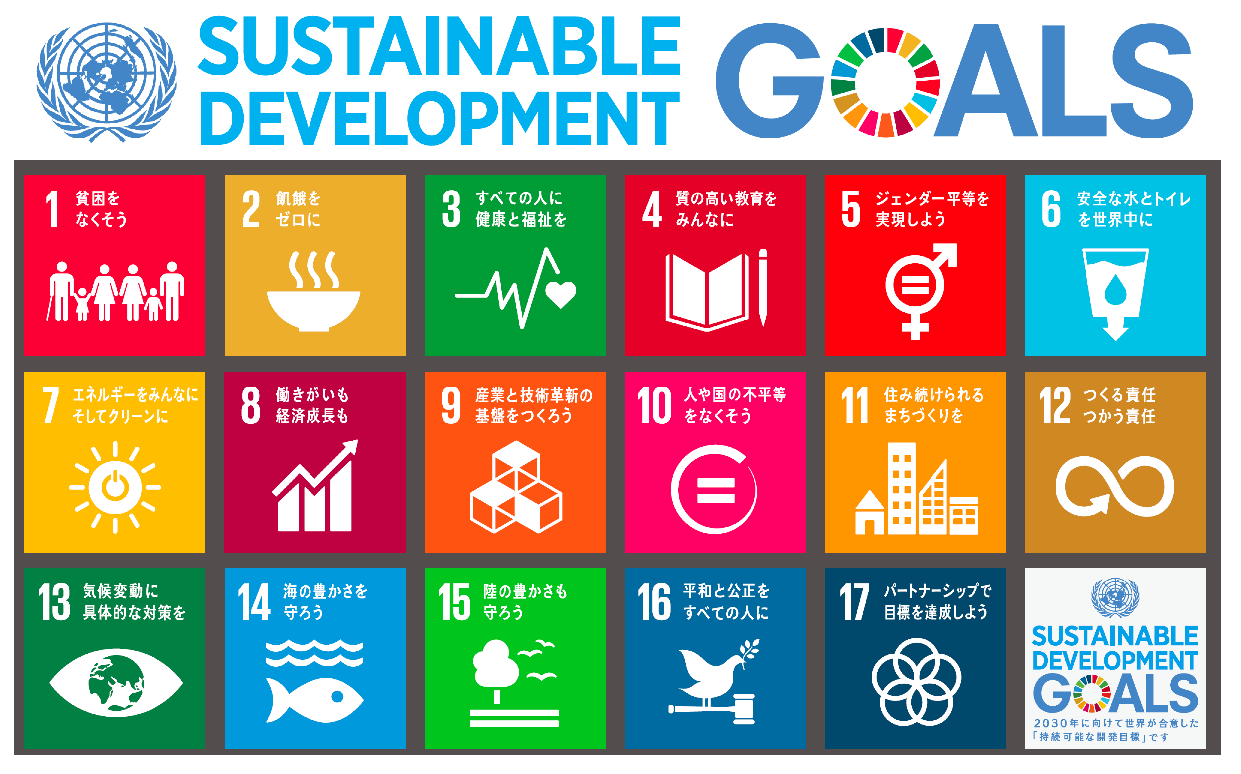 持続可能な開発目標（Sustainable Development Goals）